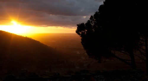 Solnedgang