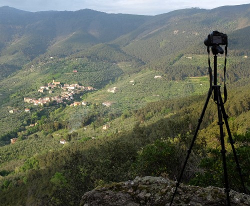Fotografering