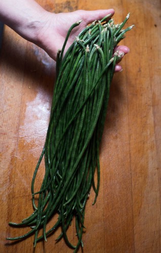 Fagioli serpente