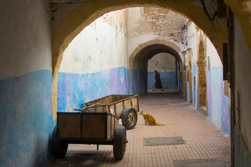 20151204-DSC_0218_essaouira_medina_buegate_1000_