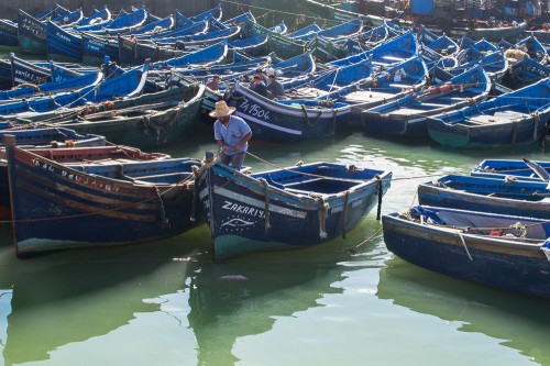 20151204-DSC_0240_essaouira_bater_fisker_1000_