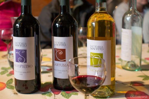20161013-DSC_0026_fattoriasanvito_viner_800
